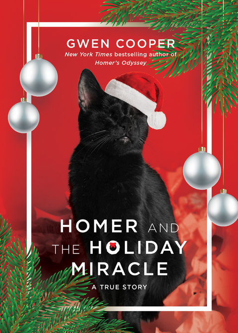 Homer and the Holiday Miracle -  Gwen Cooper