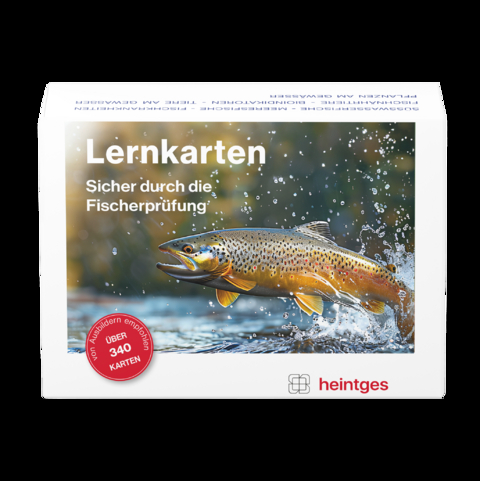 Lernkarten - 