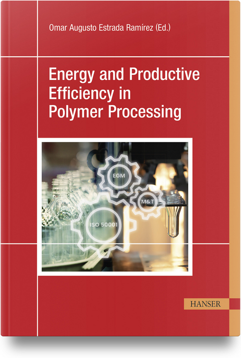 Energy and Productive Efficiency in Polymer Processing - 
