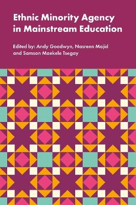 Ethnic Minority Agency in Mainstream Education