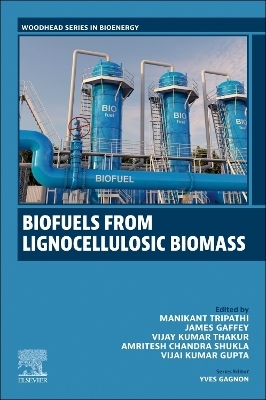 Biofuels from Lignocellulosic Materials