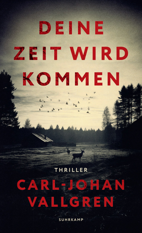 Deine Zeit wird kommen - Carl-Johan Vallgren