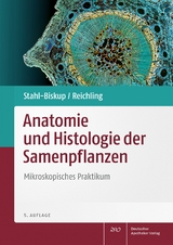 Anatomie und Histologie der Samenpflanzen - Stahl-Biskup, Elisabeth; Reichling, Jürgen