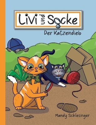 Livi und Socke - Mandy Schlesinger