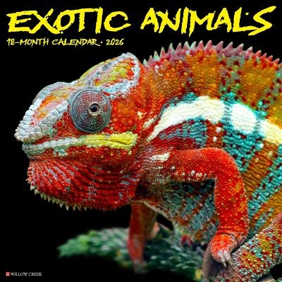 Exotic Animals 12 X 12 Wall Calendar -  Willow Creek Press