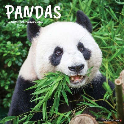 Pandas 12 X 12 Wall Calendar -  Willow Creek Press