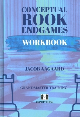 Conceptual Rook Endgames Workbook