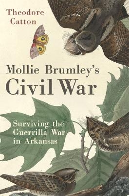 Mollie Brumley's Civil War - Theodore Catton