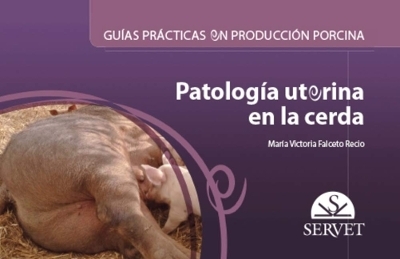 Guías Prácticas En Producción Porcina. Patología Uterina En La Cerda - Falceto Recio, María Victoria