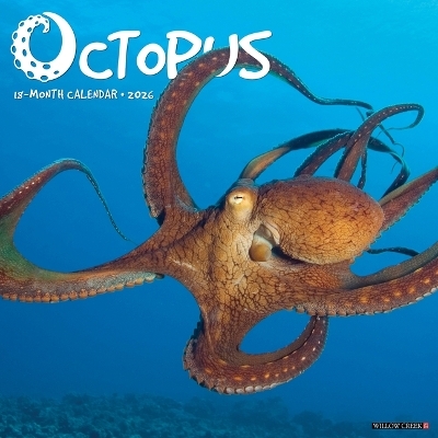 Octopus 12 X 12 Wall Calendar -  Willow Creek Press