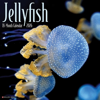 Jellyfish 12 X 12 Wall Calendar