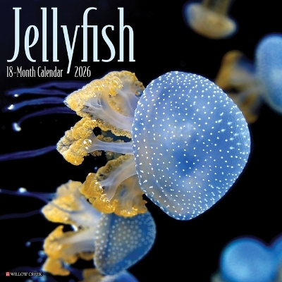 Jellyfish 12 X 12 Wall Calendar -  Willow Creek Press