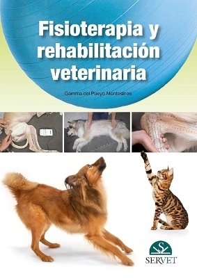 Fisioterapia Y Rehabilitación