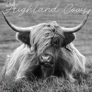 Highland Cows B&w 12 X 12 Wall Calendar
