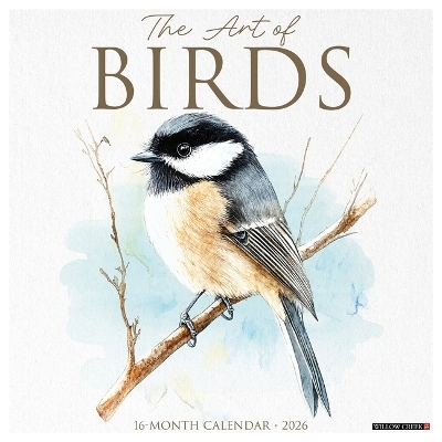 The Art of Birds 2026 12 X 12 Wall Calendar -  Willow Creek Press
