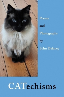 CATechisms - John Delaney