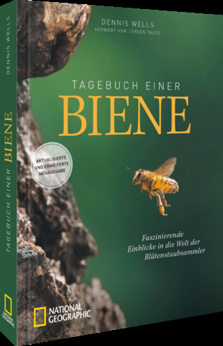 Tagebuch einer Biene
