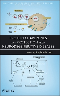 Protein Chaperones and Protection from Neurodegenerative Diseases - SN Witt