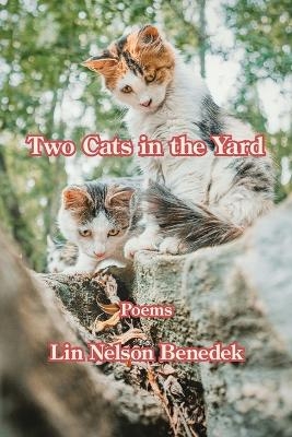 Two Cats in the Yard - Lin Nelson Benedek