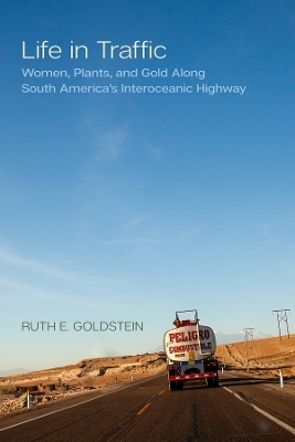 Life in Traffic - Ruth E. Goldstein