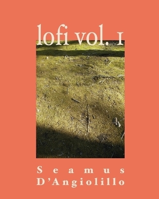 Lofi Volume 1 - Seamus D'Angiolillo