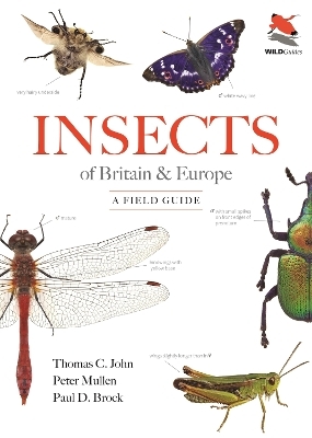 Insects of Britain and Europe - Thomas C. John, Peter Mullen, Dr. Paul D. Brock