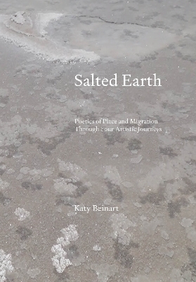 Salted Earth - Katy Beinart
