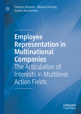 Employee Representation in Multinational Companies - Thomas Haipeter, Markus Hertwig, Sophie Rosenbohm
