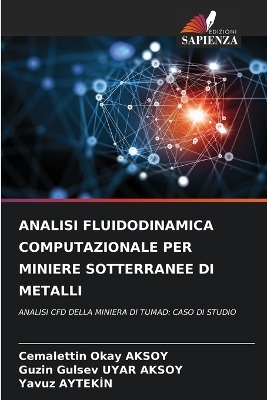 Analisi Fluidodinamica Computazionale Per Miniere Sotterranee Di Metalli