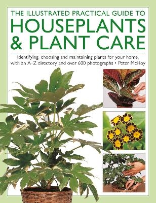 The Illustrated Practical Guide to Houseplants & Plant Care