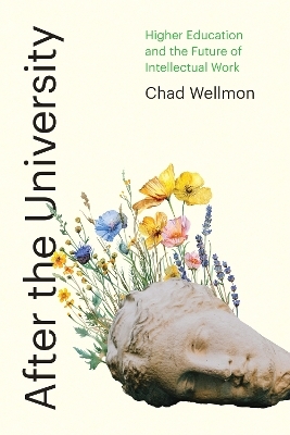 After the University