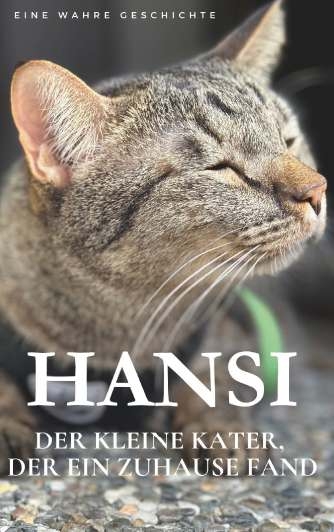 Hansi. Der kleine Kater, der ein Zuhause fand. - Thomas Fehr