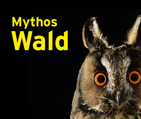 Mythos Wald - 