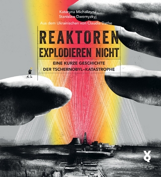 Reaktoren explodieren nicht