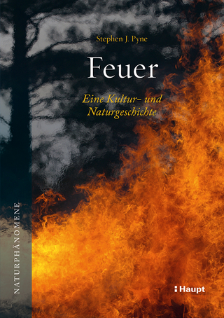 Feuer