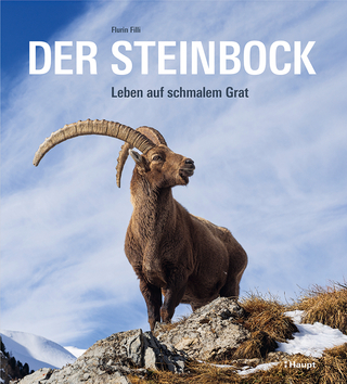 Der Steinbock