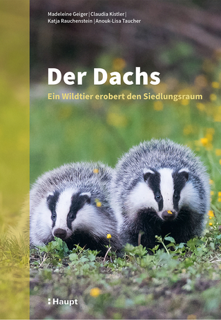 Der Dachs