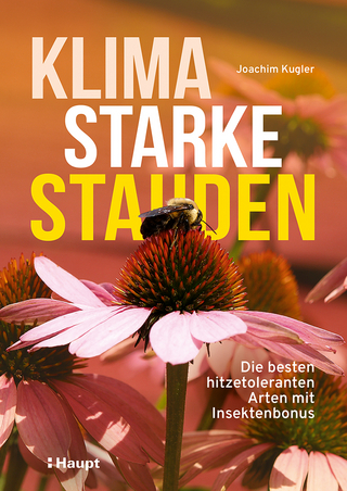 Klimastarke Stauden