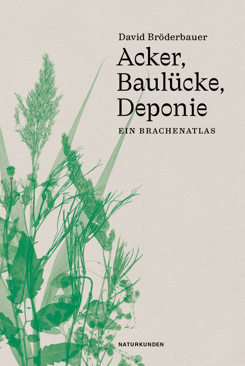 Acker, Baul&uuml;cke, Deponie - David Br&ouml;derbauer