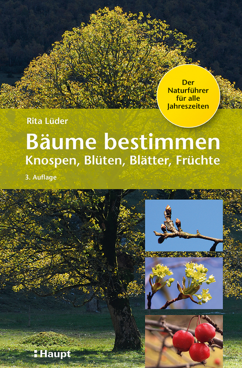 B&auml;ume bestimmen - Knospen, Bl&uuml;ten, Bl&auml;tter, Fr&uuml;chte - Rita L&uuml;der