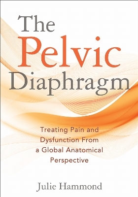 The Pelvic Diaphragm - Julie Hammond