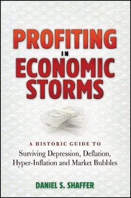 Profiting in Economic Storms &ndash; A Historic Guide To Surviving Depression, Deflation, Hyperinflation, and Market Bubbles - DS Shaffer