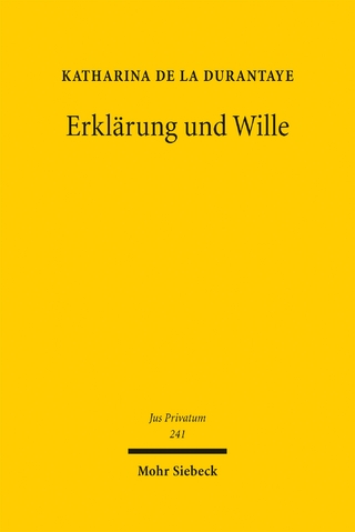 Erklärung und Wille