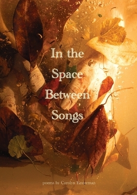 In the Space Between Songs - Carolyn Kesterman