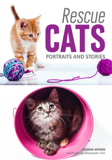 Rescue Cats - Susannah Maynard
