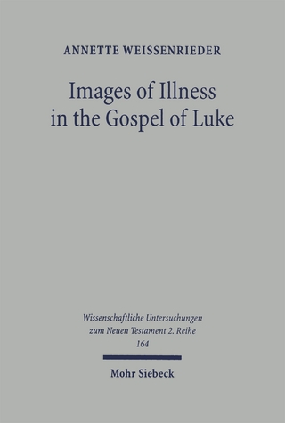 Images of Illness in the Gospel of Luke