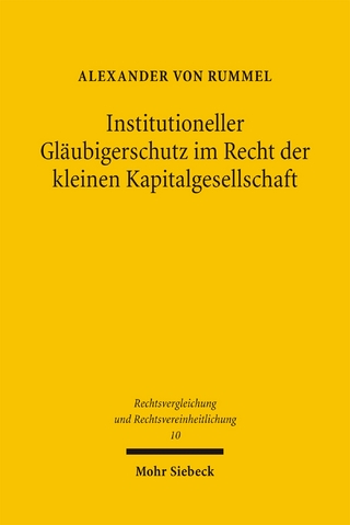 Institutioneller Gläubigerschutz im Recht der kleinen Kapitalgesellschaft