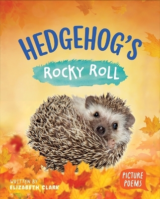 Hedgehog's Rocky Roll - Elizabeth Clark