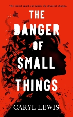 The Danger of Small Things - Caryl Lewis