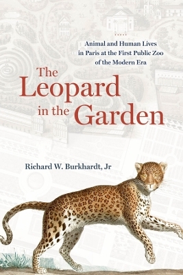 The Leopard in the Garden